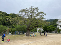 IMG_8491