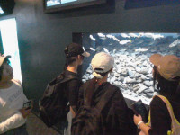 IMG_20260514_141038
