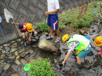 IMG_2426
