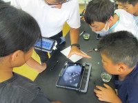 IMG_3124